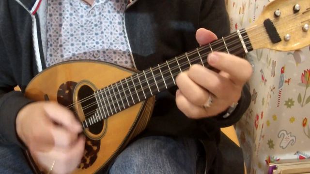 Jethro's Tune - Tolles Solo für Jazz-Mandoline смотреть онлайн