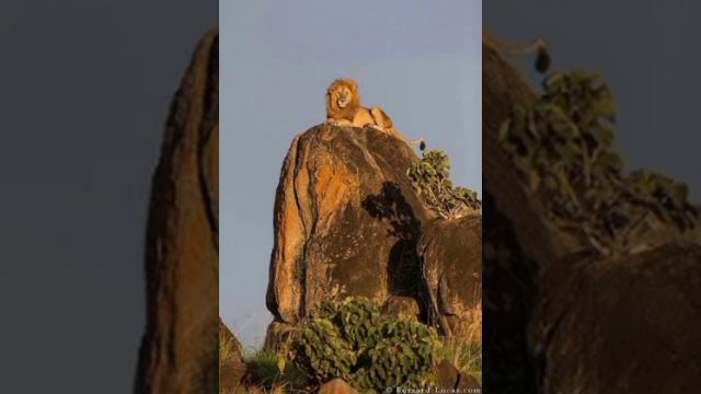 Притчи Соломона смотреть онлайн
