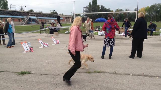 22.09.2013 Саратов, БЭСТ бэби, эксп.Чистякова смотреть онлайн