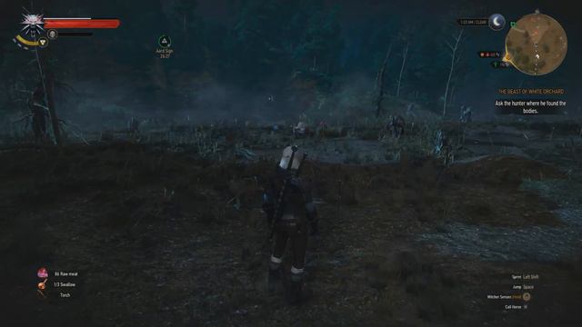 The Witcher 3: Wild Hunt ★ Part 9: Places Of Power