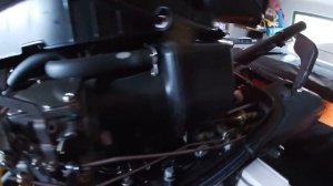 TOHATSU MFS 20 D.Троит мотор решение не большой проблемы.