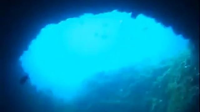 Immersione all'isola di ISCA смотреть онлайн