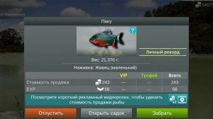 как и где ловить#паку#my fishing world