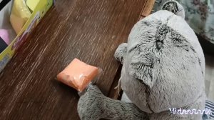 Влог с Басиками и Лили???