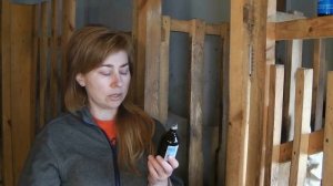 Болезни коз. Тимпания ( вздутие) у коз. Остановка рубца.