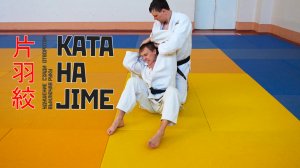 KATA HA JIME / Удушение сзади отворотом, выключая руку / 片羽絞