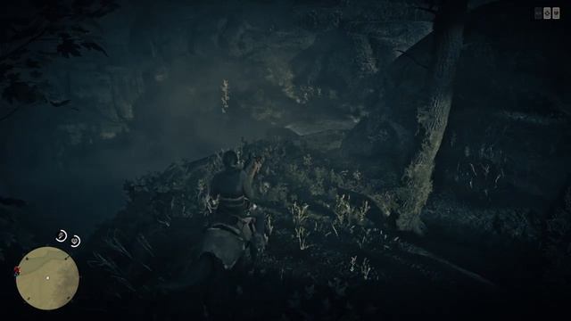 Карта сокровищ - водопад Red Dead Redemption 2 Online