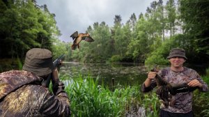 Охота на уток с подхода 2022 Тут всегда есть утка