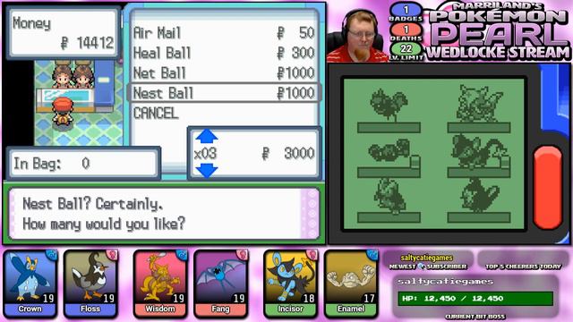 Pokémon Pearl Wedlocke Stream, Part 11 • VS. GARDENIA • Feb. 17, 2018 • STREAM ARCHIVE