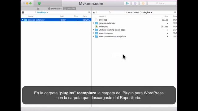 ¿Cómo actualizar un Plugin para WordPress vía FTP? смотреть онлайн