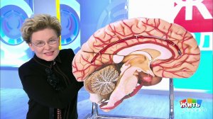 Жить здорово! Выпуск от 05.10.2020