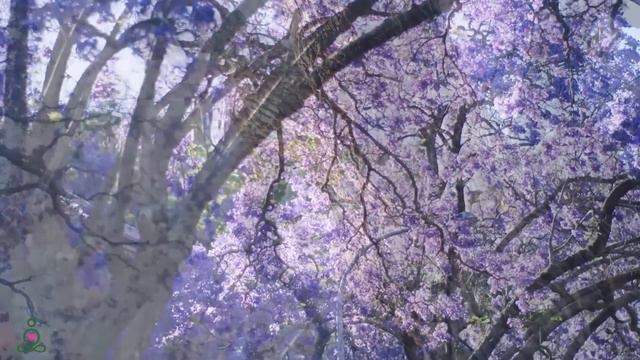 Yспокаивающая музыка для нервов 🌿 лечебная музыка для сердца и сосудов, релакс, музыка для души #61 смотреть онлайн