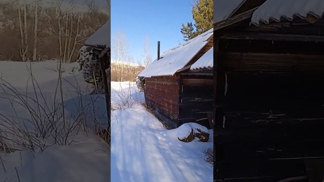 Пасека. Чарышский район. 3 смотреть онлайн