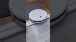 Робот пылесос, героическое преодоление порога