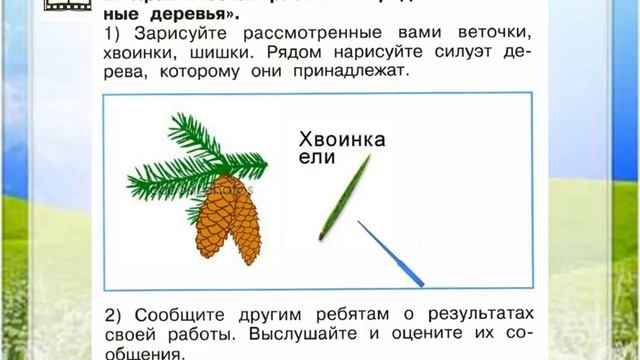 Задание 2 Что такое хвоинки? - Окружающий мир 1 класс (Плешаков А.А.) 1 часть смотреть онлайн