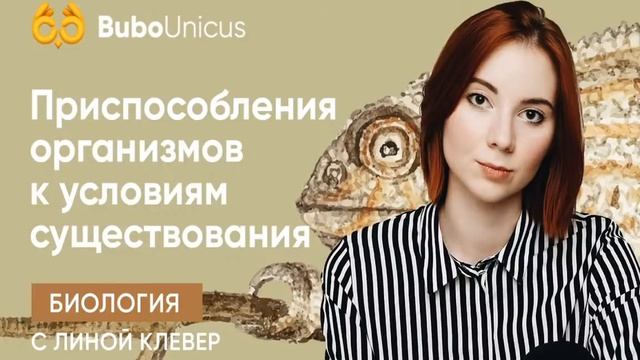Приспособления организмов к условиям существования | Биология ЕГЭ | Лина Клевер смотреть онлайн