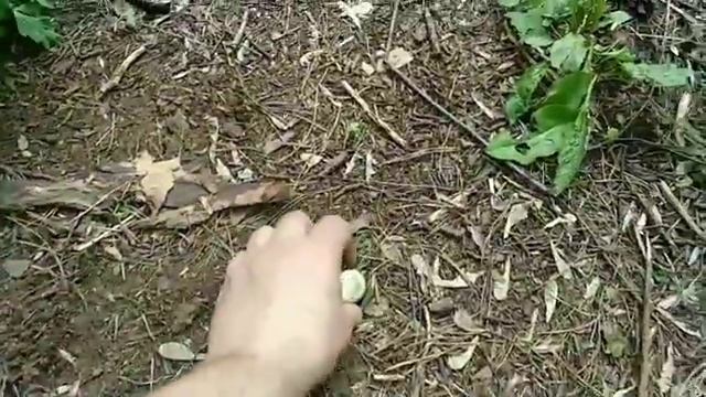 Поиск пробок для обмена смотреть онлайн