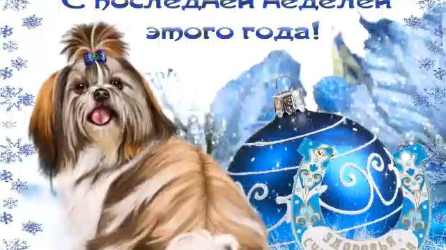 Новый год(31) смотреть онлайн