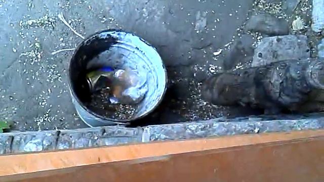 плевок сделал из крысы акробата.mp4 смотреть онлайн