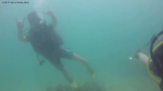 12 Января дайвинг на Фукуоке (остров Черепах) смотреть онлайн