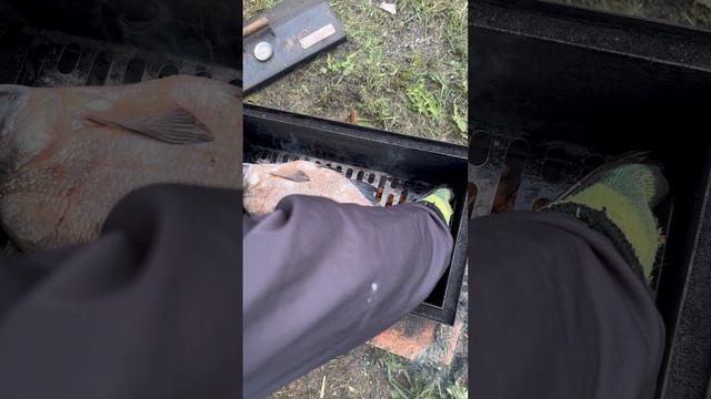 Лещ горячего копчения смотреть онлайн