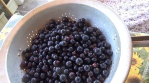 Компоты из ирги, смородины чёрной.