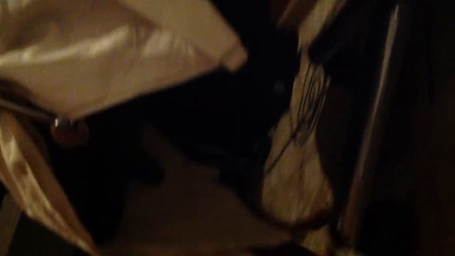 Собаке плохо:1