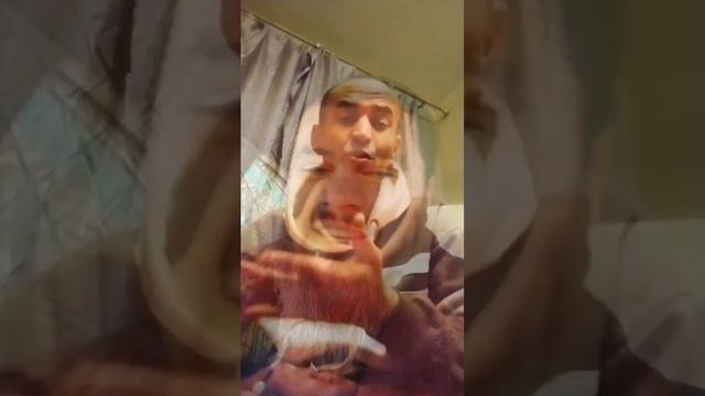 #рекомендации SM_ШАРИПОВ_ХАНДАЛАЕВИЧ ШАРМАНДА #кулоб