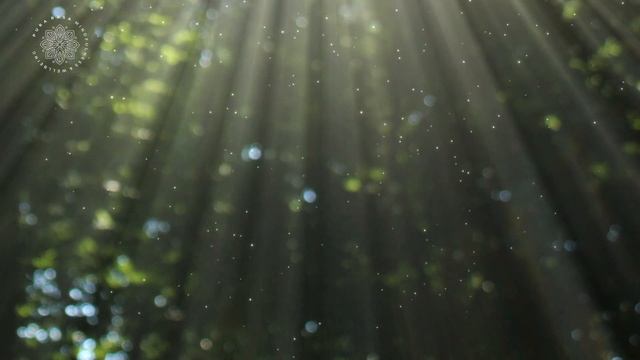 Meet Your Spirit Guide (All Levels), Guided Meditation смотреть онлайн