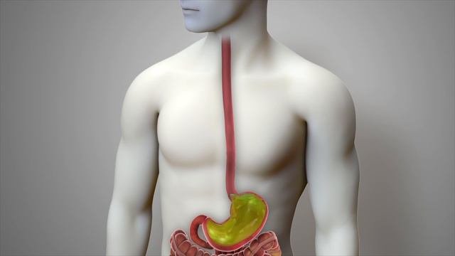 What Is LPR (Laryngopharyngeal Reflux)? Acidic & Non-Acidic Throat Reflux
