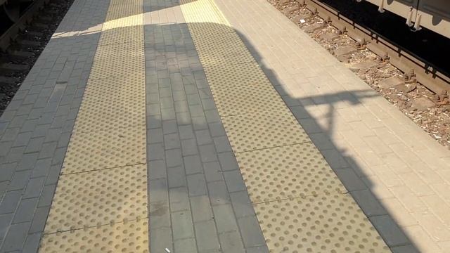 Поездка на МОРЕ в ГЕЛЕНДЖИК на БОКОВУШКАХ ??? | Поезд МОСКВА - НОВОРОССИЙСК №126 ??