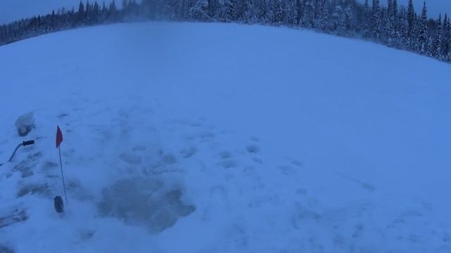 буранка. собаки. избушка. рыбалка. 25.11.21 г. смотреть онлайн