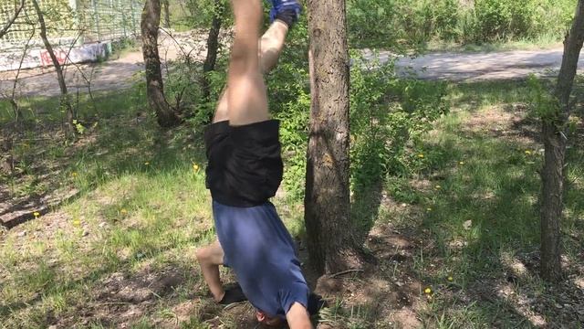 Тигриные отжимания. Часть 1. смотреть онлайн