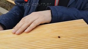 Азбука-Леса Террасная доска из лиственницы. Деревянная терраса.