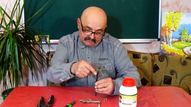 Смородиновая стеклянница - не приговор! смотреть онлайн