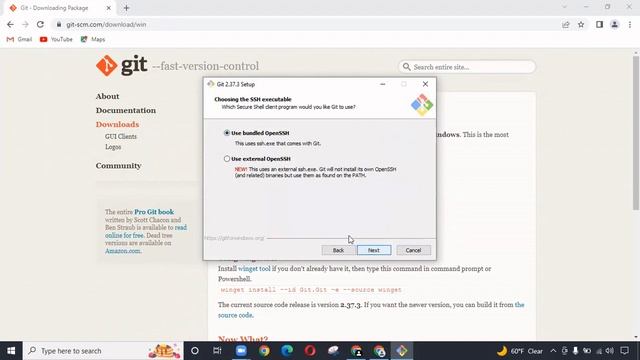 How to Download and Install Git Bash on Windows 10 | Quick & Easy Install смотреть онлайн