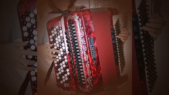 パリの空の下 "Sous le ciel de Paris”Accordion（ボタンアコーディオン） смотреть онлайн