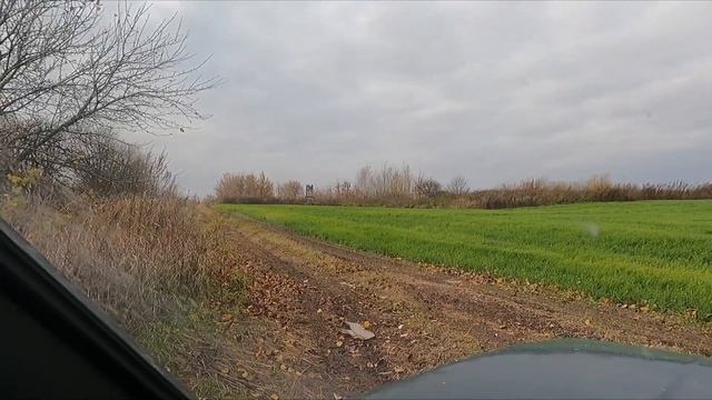 Копаю на старых СССР ФЕРМАХ! ИЩУ ДОБРОТНЫЙ МЕТАЛЛ!КОП2021