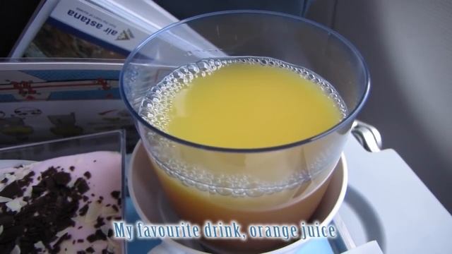 Air Astana Flight Review: KC296 Abu Dhabi, UAE to Almaty, Kazakhstan смотреть онлайн