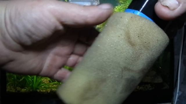 Начало борьбы с чёрной бородой