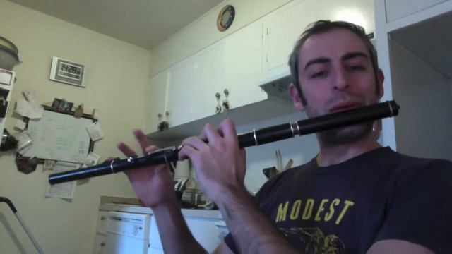Rambling Pitchfork - Irish Flute - slow/fast смотреть онлайн