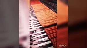 КЕБАБ-МАШИНА В ДЕЛЕ ??? #кебаб #Lavna #прессдлякебаба