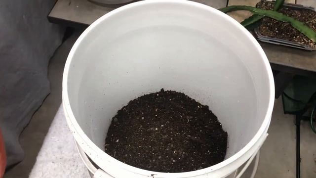 Transform Your Gardening Game: A Beginner's Seed Starting Guide смотреть онлайн