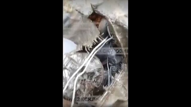 Поймал на магнит. В реке Ижора Тосненского района мужчина нашёл сумку с останками ребёнка смотреть онлайн