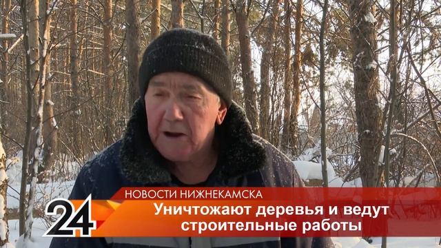 В Корабельной Роще вырубили сосны для постройки дома смотреть онлайн