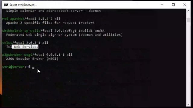 តោះមកដឹងពីការបញ្ចូលកម្មវិធី | Package Management In Ubuntu смотреть онлайн