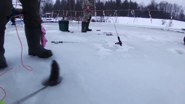 Поимки форели на поставушки смотреть онлайн