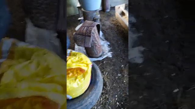 КОНТАКТНЫЙ ЗООПАРК смотреть онлайн