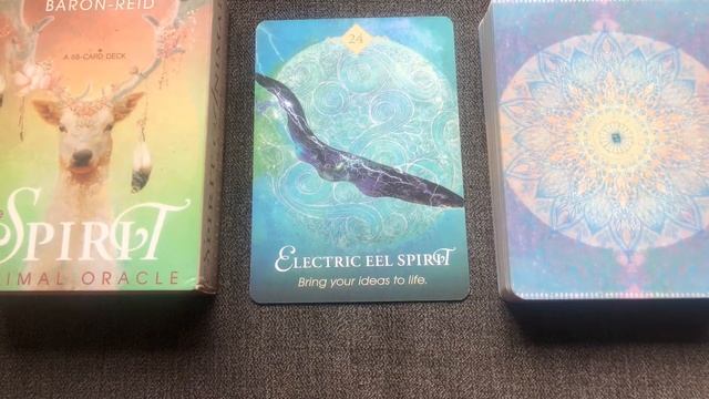 The Spirit Animal Oracle 24/68 Electric Eel guide book audio description смотреть онлайн