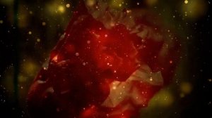 Футажи HD -распускающиеся маки